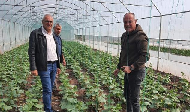 Gemlik Belediyesi’nde organik tarım çalışmaları sürüyor