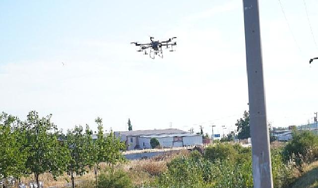 Ayvalık’ta dronların hedefinde sinekler var