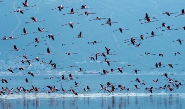 Başkan Soyer Çiğli Arıtma Tesisi’ndeki çalışmaları inceledi İZSU’dan temiz Körfez için tarihi adımlar