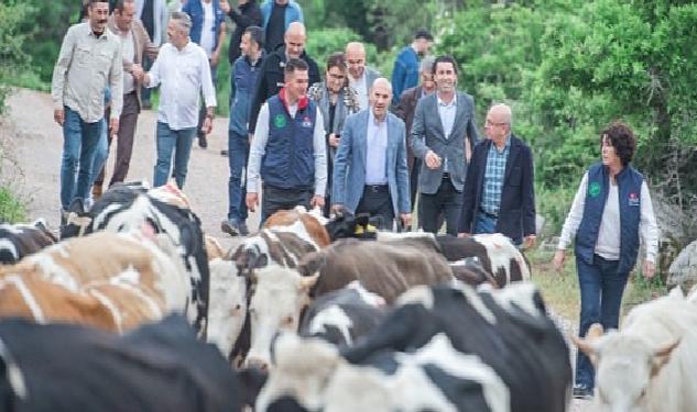 Bergama’da yayla yolculuğu başladı