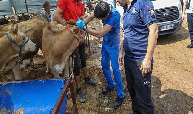 Buca Belediyesi’nde Kurban Bayramı mesaisi