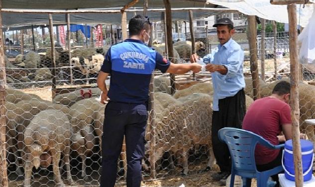 Çukurova kurban satış yerleri