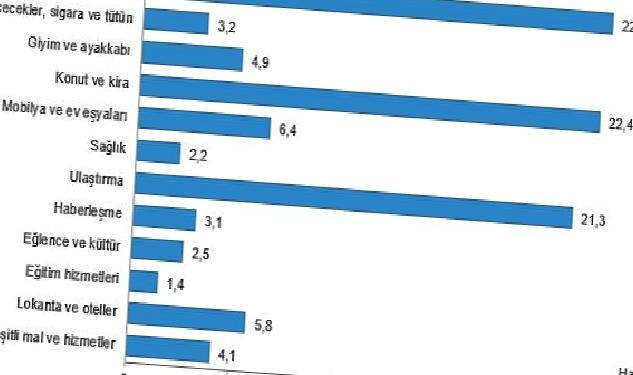 Hanehalkı bütçesinden en fazla pay gıda ve alkolsüz içecek harcamasına ayrıldı