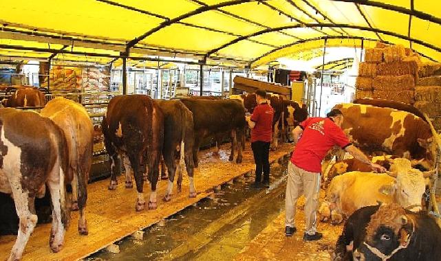 İstanbul Kurban Bayramına hazır