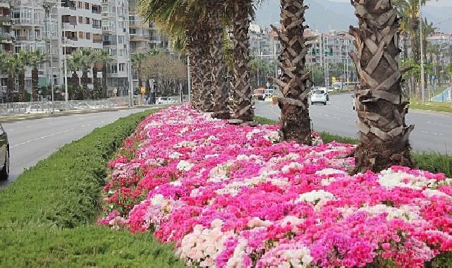 İzmir çiçek açtı