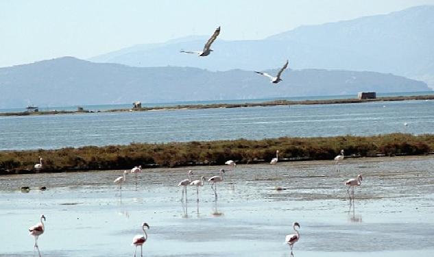 Kuş Cenneti’ne anjiyo: 40 km yatak temizlenecek