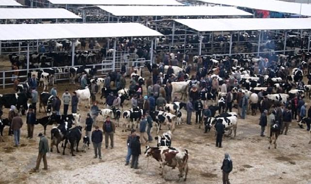 Ödemiş’te kurban satış ve kurban kesim yerleri belli oldu