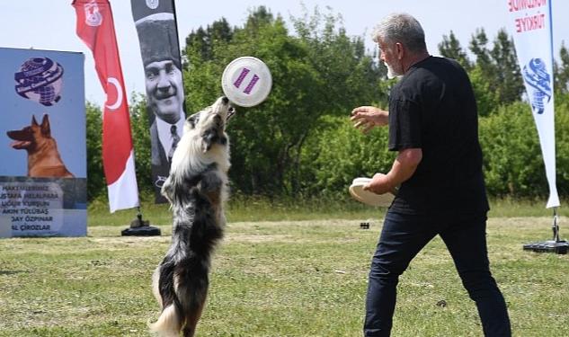 Patiler Kent Ormanı’nda yarıştı!