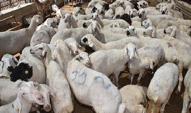 Selçuklu’da kurban satış ve kesim yerleri hazır