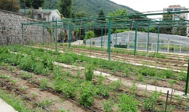 Tugay “Yerel tohumları koruyor ve toprakla buluşturuyoruz”