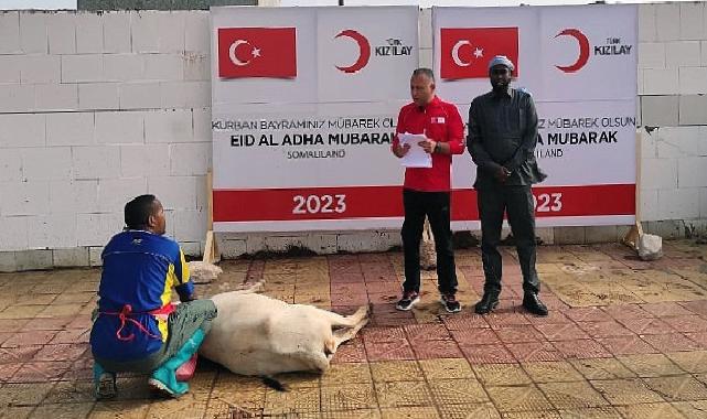 Türk Kızılay Kurban Kesimlerini Başlattı