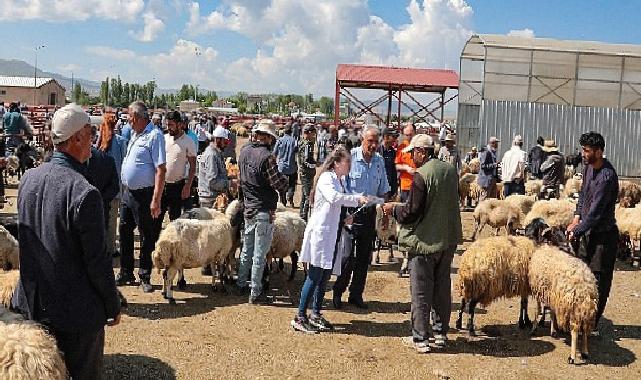 Van Büyükşehir Belediyesi canlı hayvan pazarında bilgilendirme yaptı