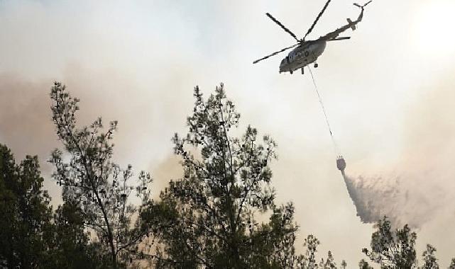 Başkan Tokat yangın bölgesinde