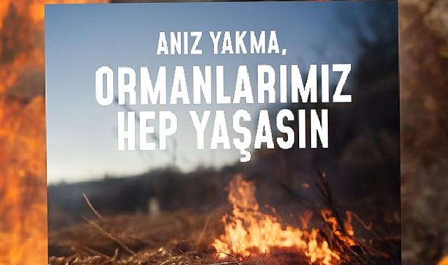 Bir kıvılcım geleceğimizi yakmasın, ormanlarımız hep yaşasın!