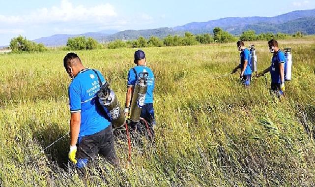 Büyükşehir Vektörle Mücadelede Tüm Birimleri ile Sahada