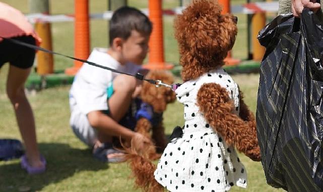 Çeşmeli can dostlar Fest Pati’de buluştu