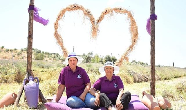 Didim’in Mis Kokulu Lavanta Festivaline sayılı günler kaldı