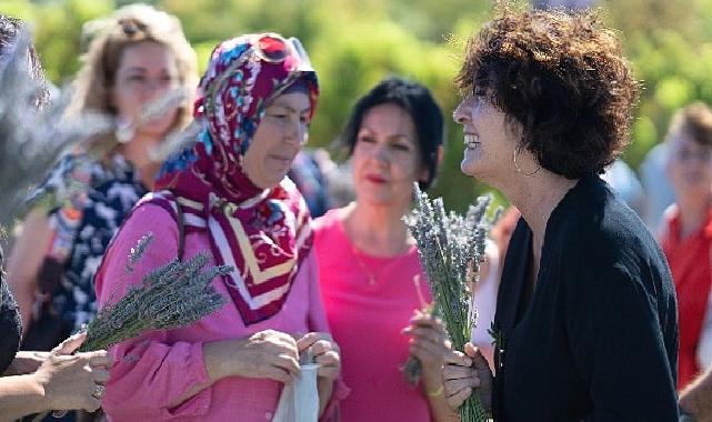 İmece usulü lavanta hasadında dayanışma örneği