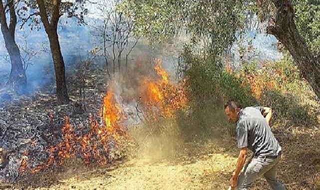 İzmir Kınık’taki yangında Devlet millet el ele verdi