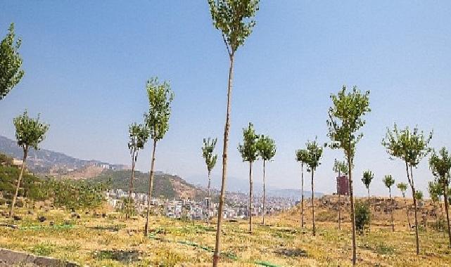 Karşıyaka’da iklim krizine karşı 95 bin ağaç toprakla buluşturuldu