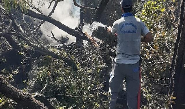 Kemer’deki orman yangınına müdahale sürüyor