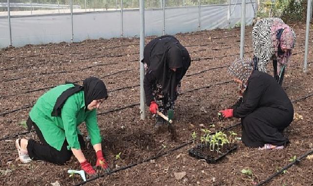 Kocaeli Büyükşehir’den kadın girişimcilere tarımsal destek