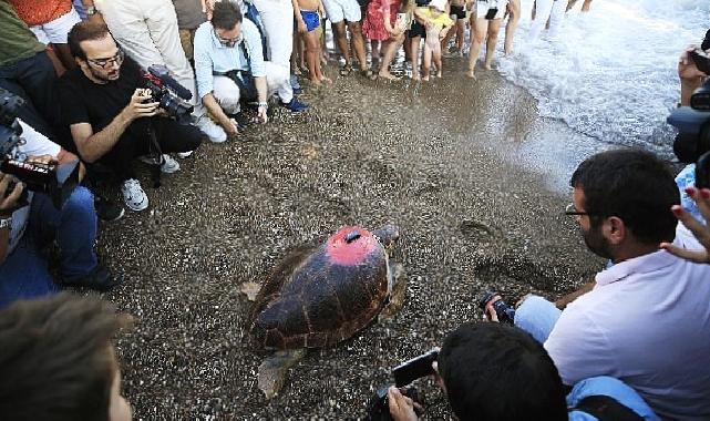 Lara Barut Collection’ın destekleri ile denizle buluşan Caretta Caretta, bir yılda 3000 km yol katetti