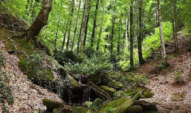 Suuçtu Şelalesi ziyaretçi akınına uğradı