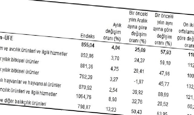 Tarım ürünleri üretici fiyat endeksi (Tarım-ÜFE) yıllık yüzde 57,93, aylık yüzde 4,04 arttı