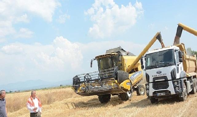 Torbalı Belediyesi Buğday Hasadı