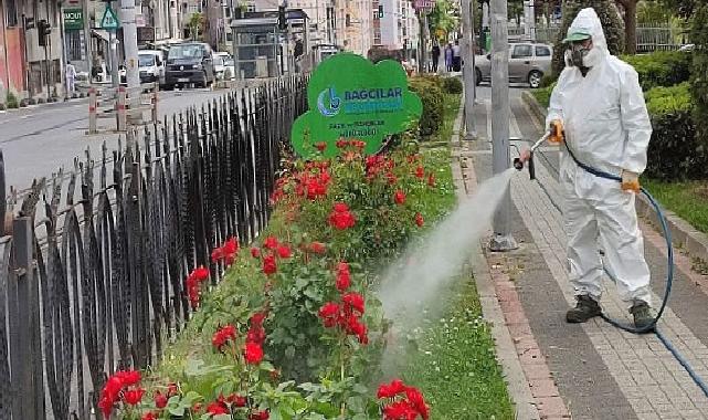 Bağcılar Belediyesi Bitlerle Mücadelesini Sürdürüyor