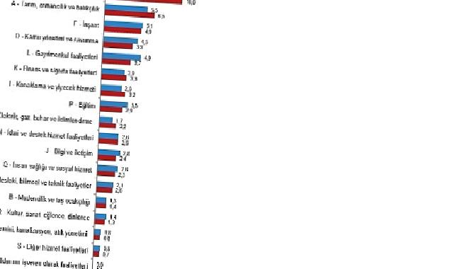 Bağımsız yıllık gayrisafi yurt içi hasıla 2022 yılında yüzde 5,5 arttı