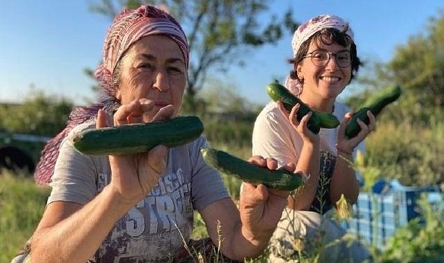 Buğday Derneği; Soframıza gelen zehirlerden 6’sı daha yasaklandı