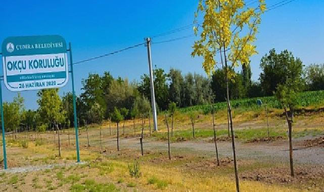 Çumra’nın Yeşil Alanları Nefes Oldu