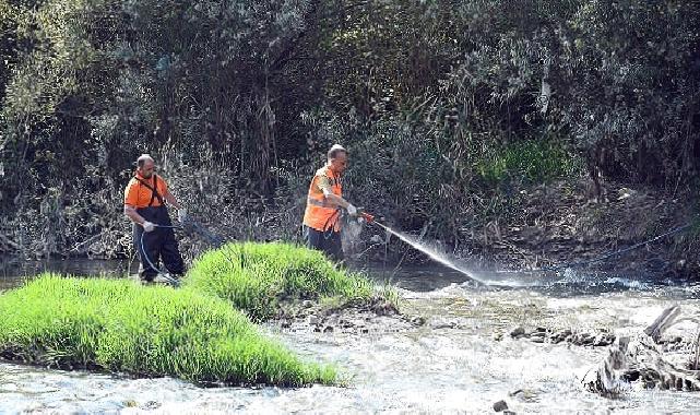 Karabük Belediyesi Sivrisinekle Mücadele Çalışmalarına Devam Ediyor