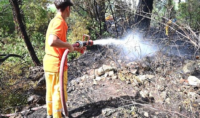 Kemer’de korkutan yangın büyümeden kontrol altına alındı