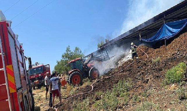 Muğla Büyükşehir Acil Müdahale Aracı ile Yangından Etkilenen Hayvanlara Müdahale