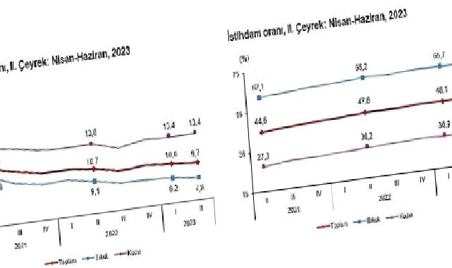 TÜİK: İşgücü İstatistikleri, II. Çeyrek: Nisan – Haziran, 2023