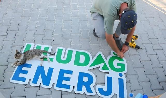 Uludağ Enerji, Hatay Kampüsünde Sokak Hayvanlarını Yalnız Bırakmadı