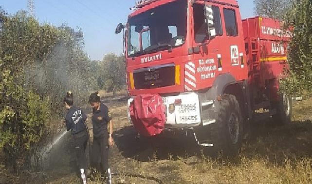 Aydın Büyükşehir Belediyesi İtfaiyesi’nden Umurlu’daki yangına müdahale