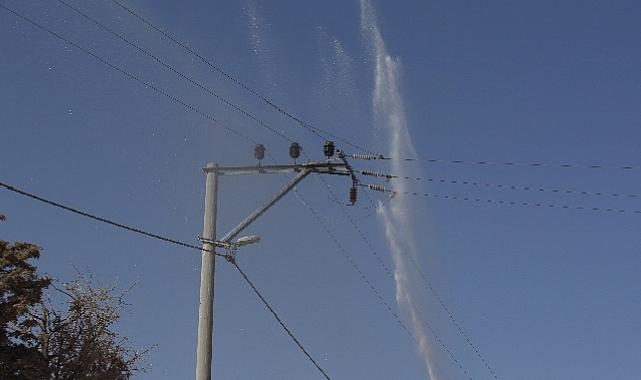 Elektrik Hatlarında Temizlik Zamanı