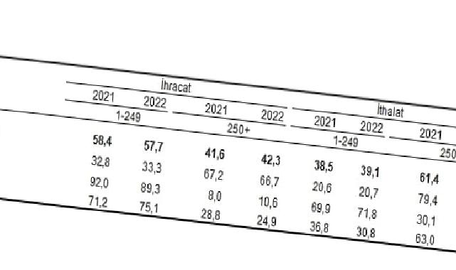 İhracatın yüzde 42,3’ünü, ithalatın ise yüzde 60,9’unu büyük ölçekli girişimler gerçekleştirdi