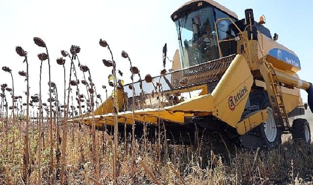 Mudanya Belediyesi Dayanışmayı Tarımla Büyütüyor