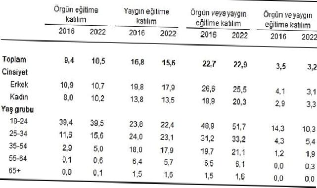 Yetişkinlerin örgün veya yaygın eğitime katılım oranı yüzde 22,9 oldu