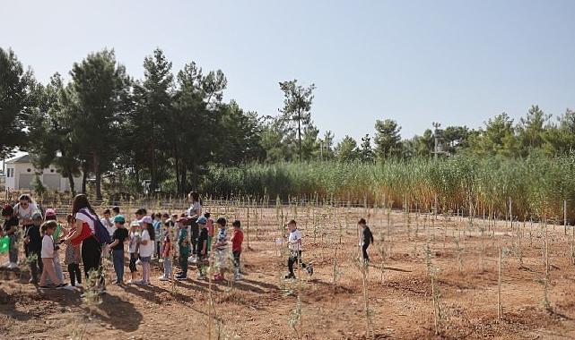 Büyükşehir Belediyesi 100. Yıl Hatıra Ormanı oluşturdu