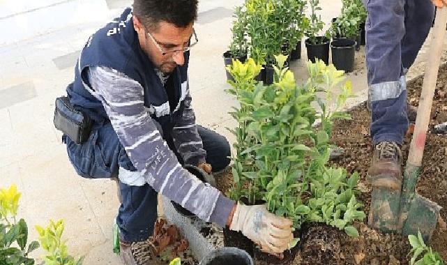 Büyükşehir’den Ulaşlı Camii’ne estetik meydan