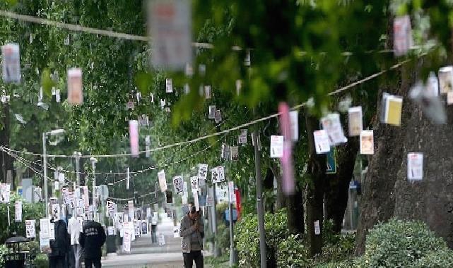 Cumhuriyet Bulvarı’nda Ağaçlar Kitap Açacak