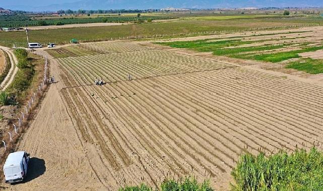 Didim’de Kış Sebzelerinin Ekimine Başlandı