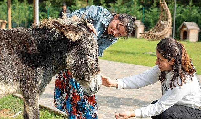 Hepsiburada, 4 Ekim Hayvanları Koruma Günü’nde Can Dostlarımızı Unutmadı