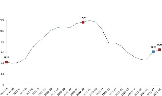 İnşaat maliyet endeksi yıllık yüzde 66,46 arttı, aylık yüzde 4,62 arttı